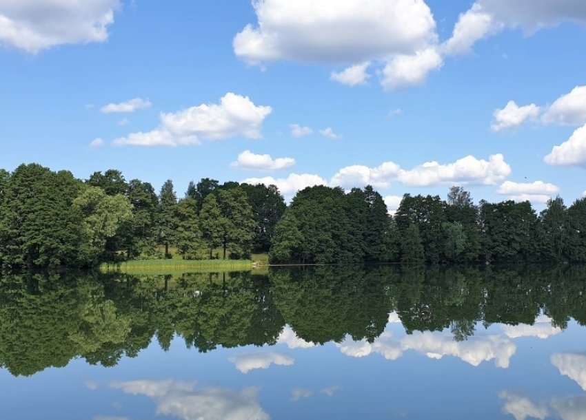 Lakeside view