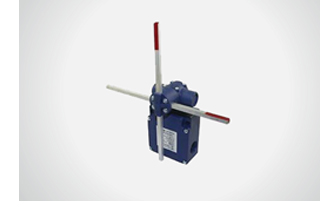 Limit switch