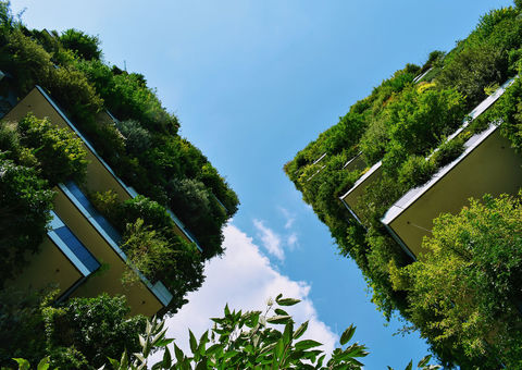 Apartment house with alot of green plants growing on balconies.
