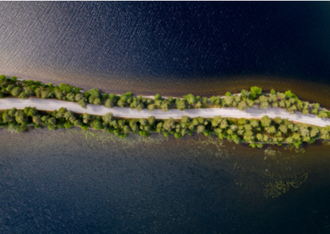 Read Sustainability report here